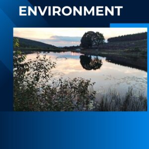 Environmental Inspection